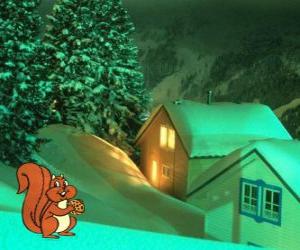 Puzzle Σκίουρος τρώει καρύδια για την παραμονή των Χριστουγέννων